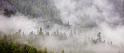 In the Mist
